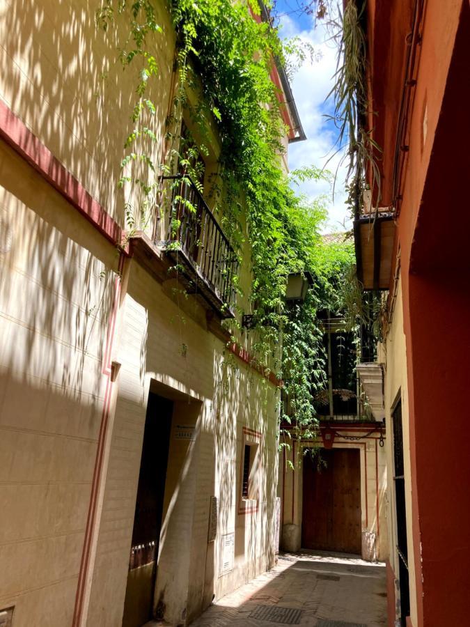 Appartement Acogedor 8pax 4bdr 2bth - Cozyhomesevilla1 Séville